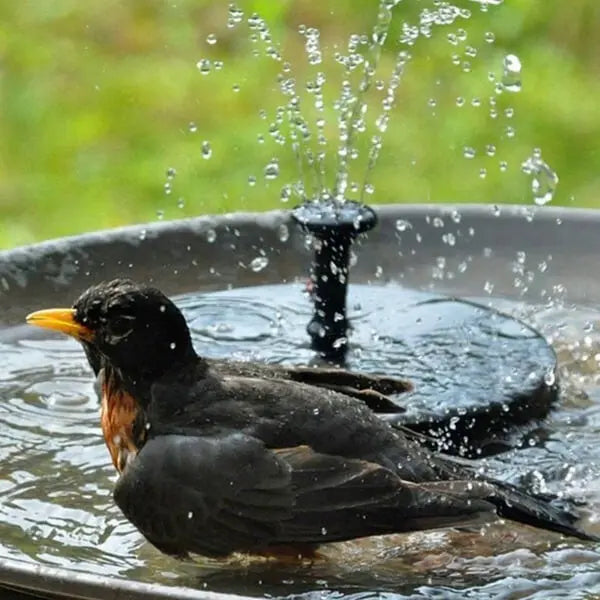 1+1 Gratis | SolarFlow™ Eleganter solarbetriebener Springbrunnen für stressfreie Schönheit