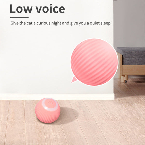 PurrBall™ – Intelligentes Katzenspielzeug mit Rollball