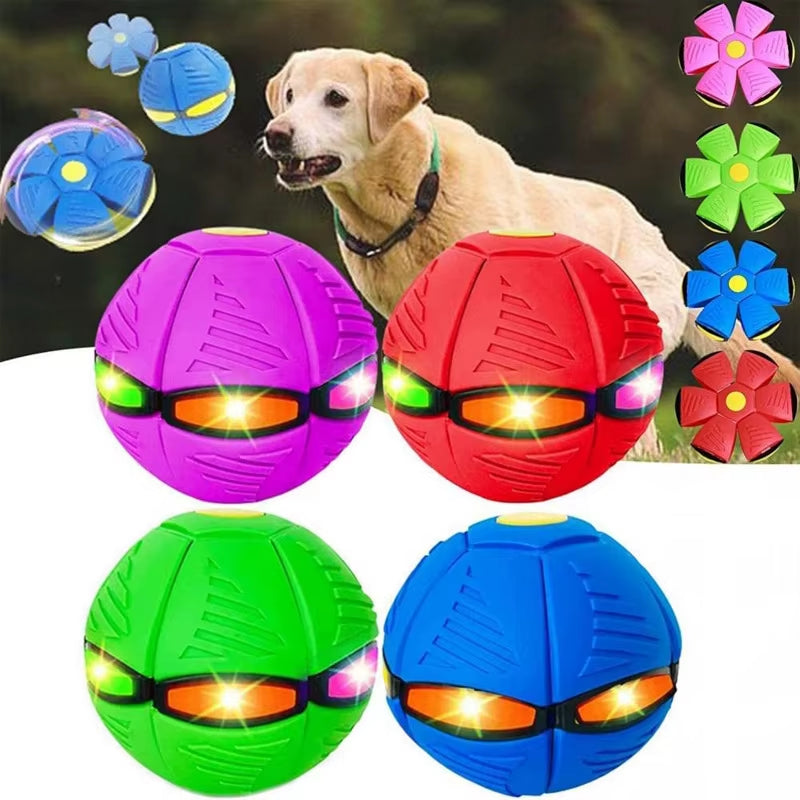 Interaktiver UFO-Hundeball