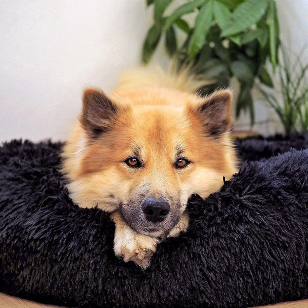 Hundebett Fluffy - Das Original