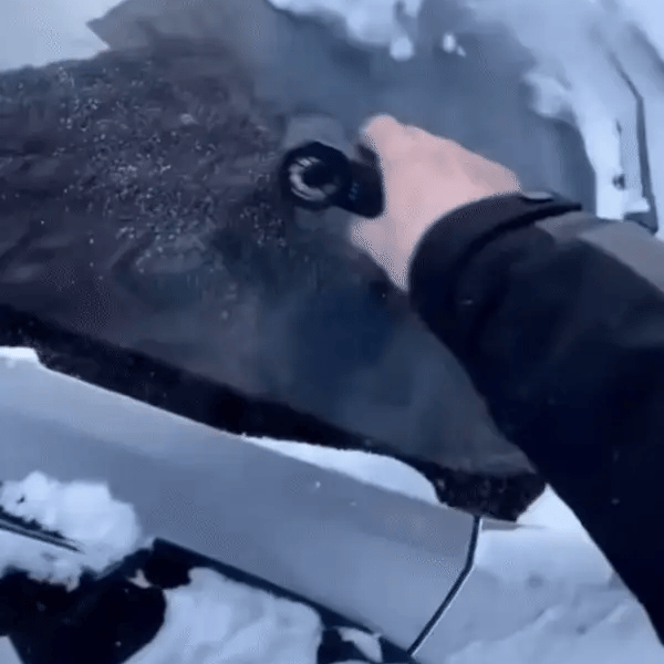Snowver™ — Schneller Schnee räumen und mühelose Winterfreiheit genießen