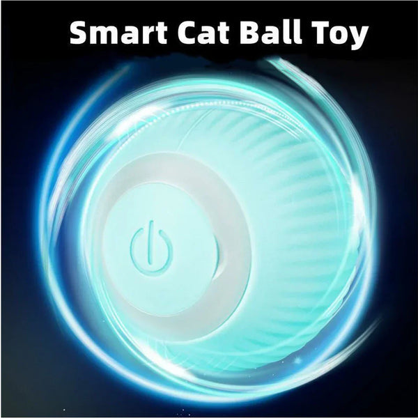 PurrBall™ – Intelligentes Katzenspielzeug mit Rollball