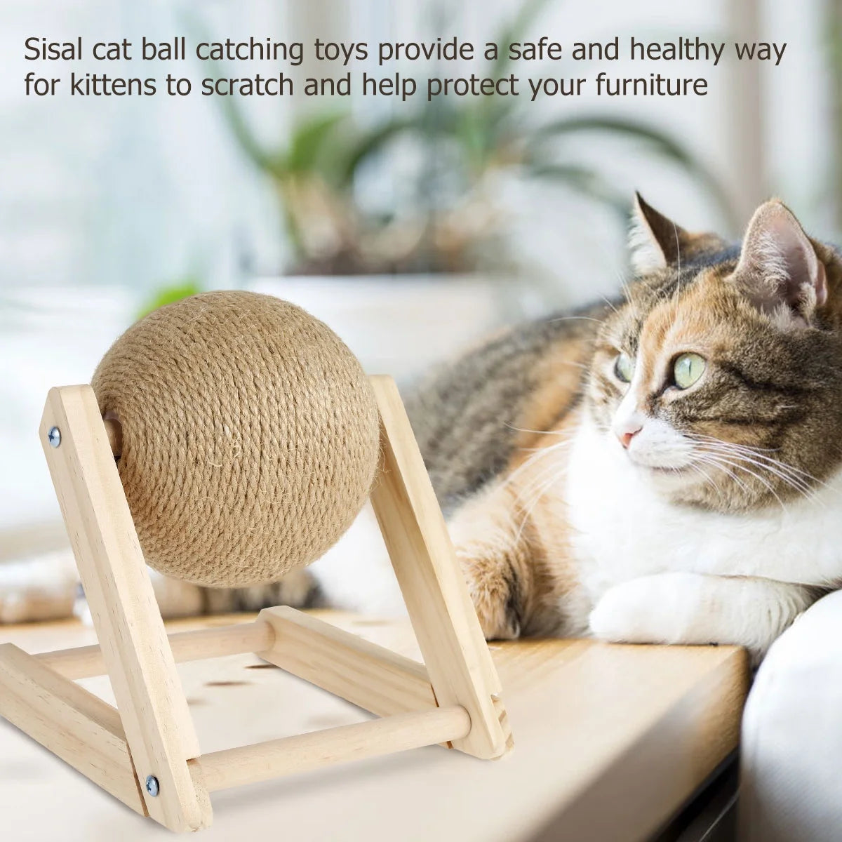 Scratchball für Katzen – Natürliches Sisalspielzeug mit Katzenminze und Massivholzbasis