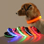 🐾 GlowPaw™ – Die LED-Hundehalskette für sichere Abendspaziergänge
