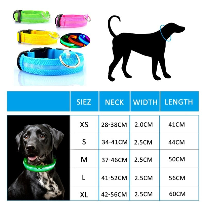 LED-Aufladbare Hundehalskette – Sicherheit und Stil für Ihren Hund