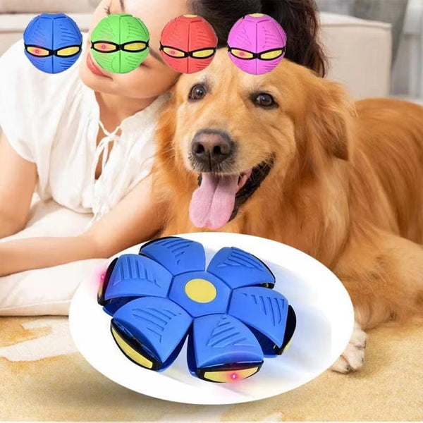 Interaktiver UFO-Hundeball