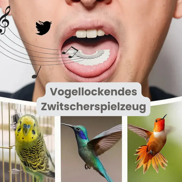 1+1 Gratis | Lebensechtes Vogelruf-Mundstück™ — Bringen Sie die Gesangsvögel der Natur direkt vor Ihre Haustür