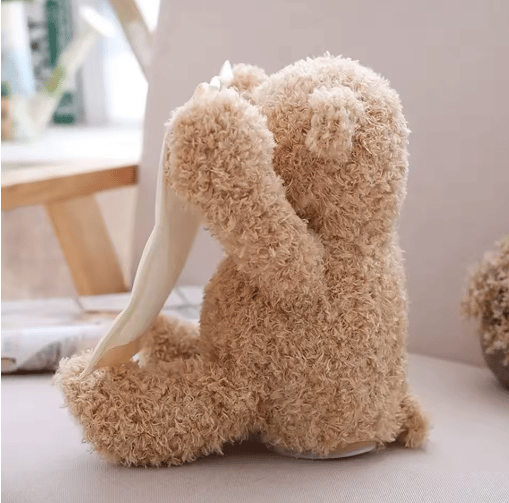 Peeksy™ - Peek-a-Boo Teddybär Spielzeug