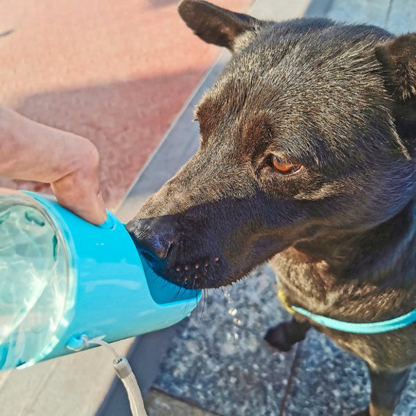 Trinkflasche für Hunde mit Snackbehälter und Kotbeutelspender | DurstFreund
