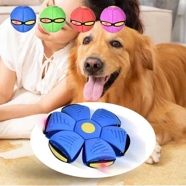 Hundespielzeug | 2-in-1 unkaputtbares Hundespielzeug | FlitzDisc