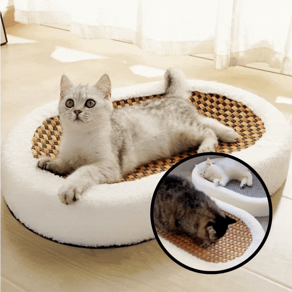 Katzenbett mit Kratzbrett | Stilvolles Kratzmöbel | KratziCouch