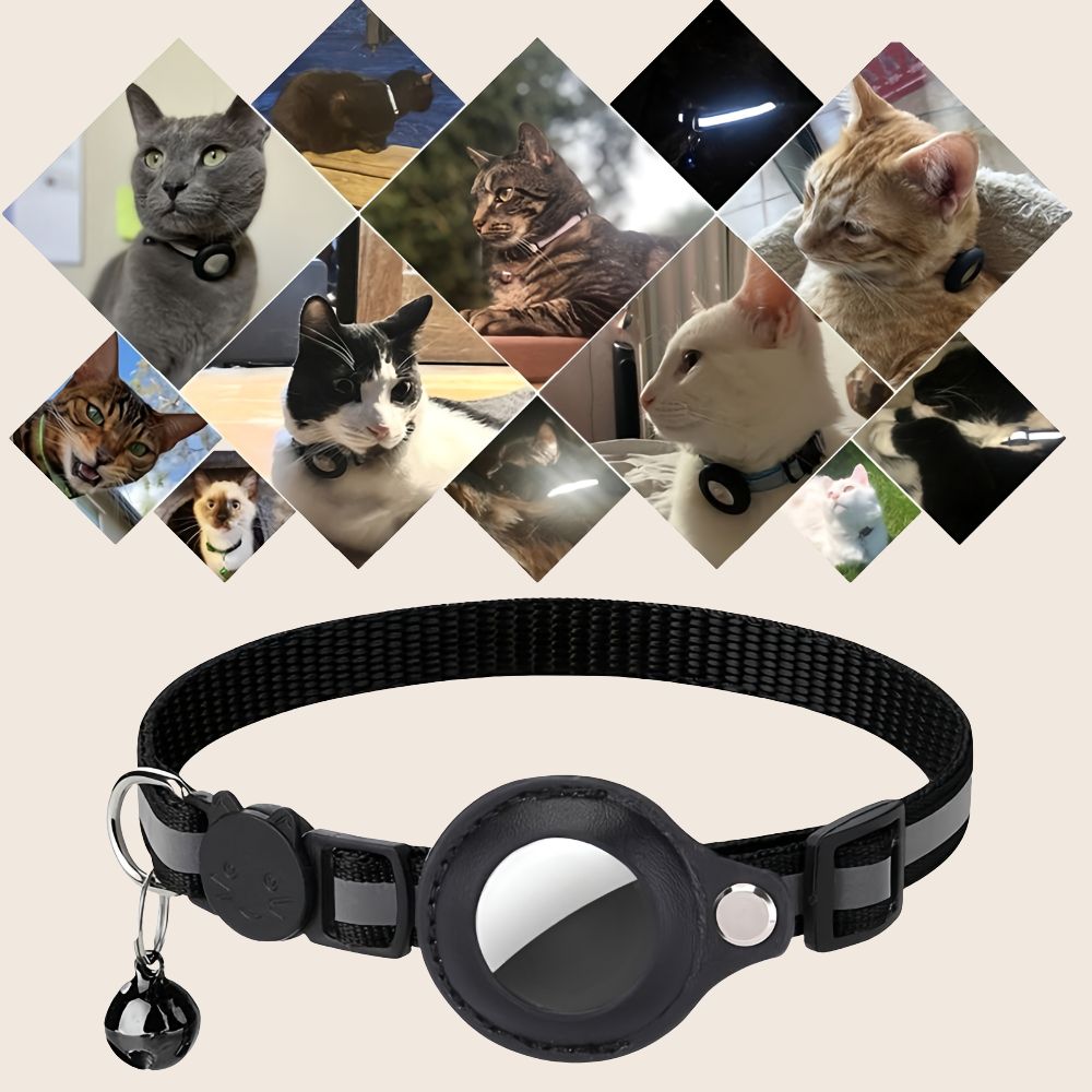 Katzenhalsband mit GPS & Glocke | MiauTrack