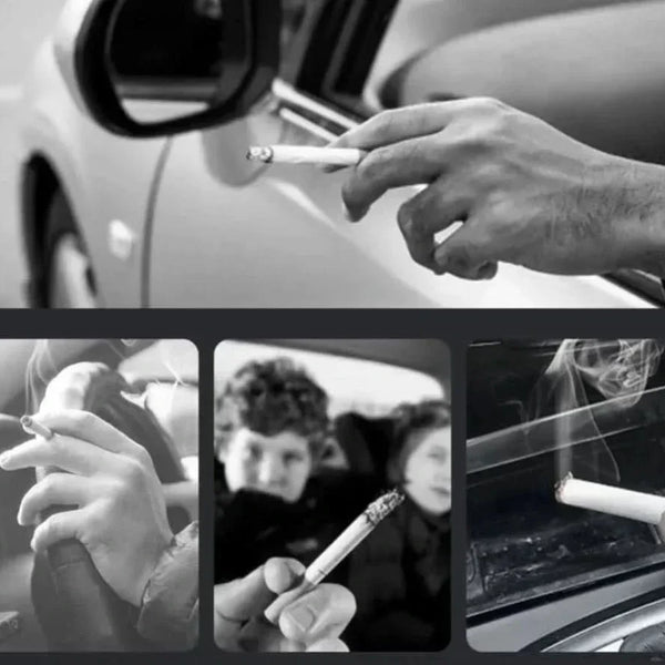 AutoAsh™ - Smarte Erkennung Touch